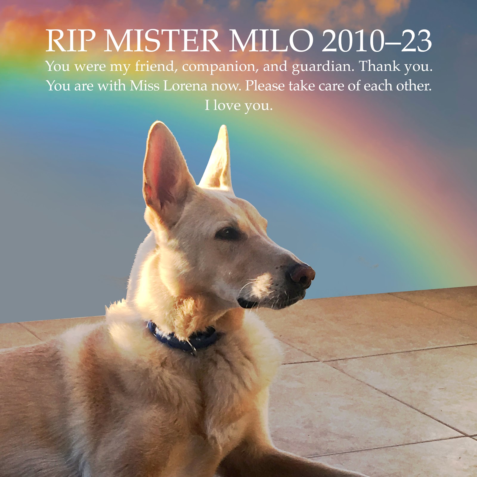 RIP Milo